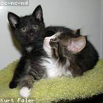 Zack Wuckert Profile Picture