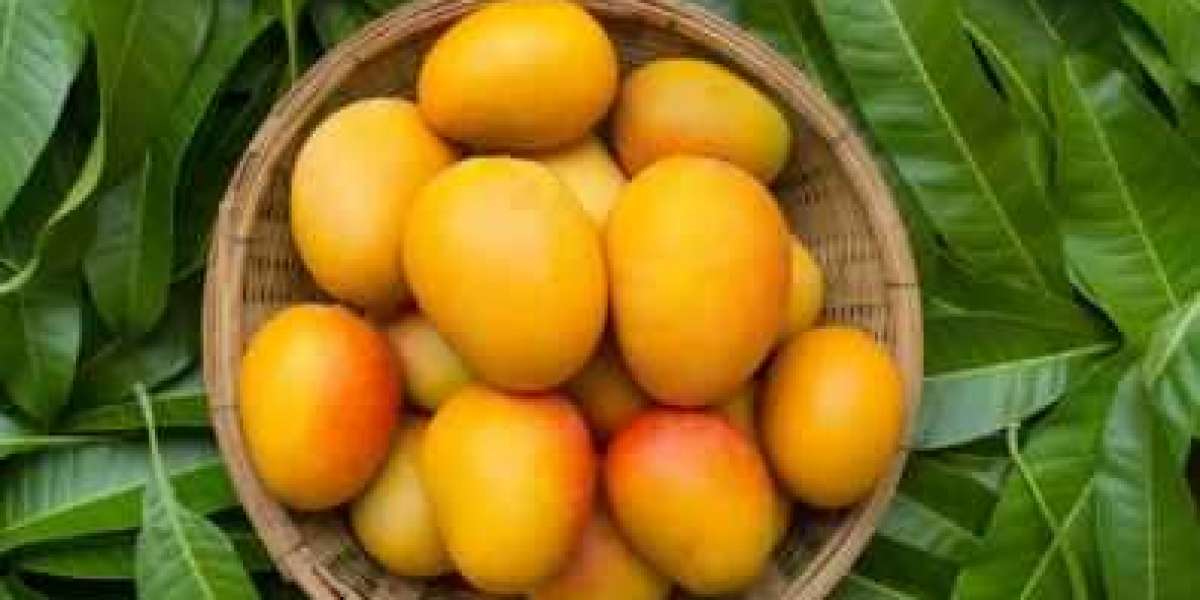 Benefits, Significance & How To Grow Mango Tree