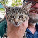 Angela Klein Profile Picture