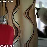 Zander Eichmann Profile Picture