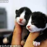 Koby Keeling Profile Picture