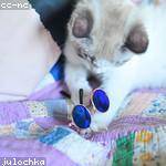 Reba Schoen Profile Picture