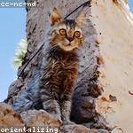 Federico Schumm Profile Picture