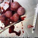 Dovie Homenick Profile Picture