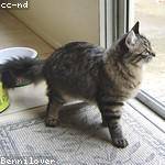 Cornelius Roob Profile Picture