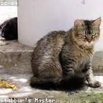 Muriel Quitzon Profile Picture