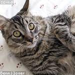 Skye Schmeler Profile Picture