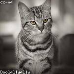 Martin Johnson Profile Picture