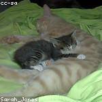 Shaniya Osinski Profile Picture