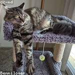 Jesus Lueilwitz Profile Picture