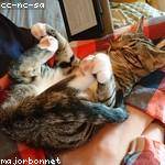 Katelynn Rau Profile Picture