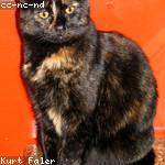 Renee Hayes Profile Picture