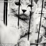 Kip Steuber Profile Picture