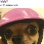 Brainstorm Brand Profile Picture