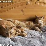 Elva Heller Profile Picture