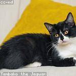 Talia Marquardt Profile Picture