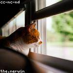 Talon Ferry Profile Picture