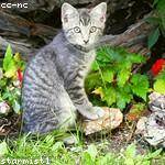 Haylee Hessel Profile Picture