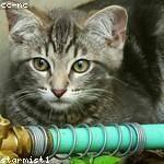 Antonette Von Profile Picture