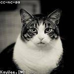 Murphy Gorczany Profile Picture