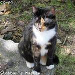 Marcelle Trantow Profile Picture