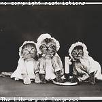 Beatrice Johns Profile Picture