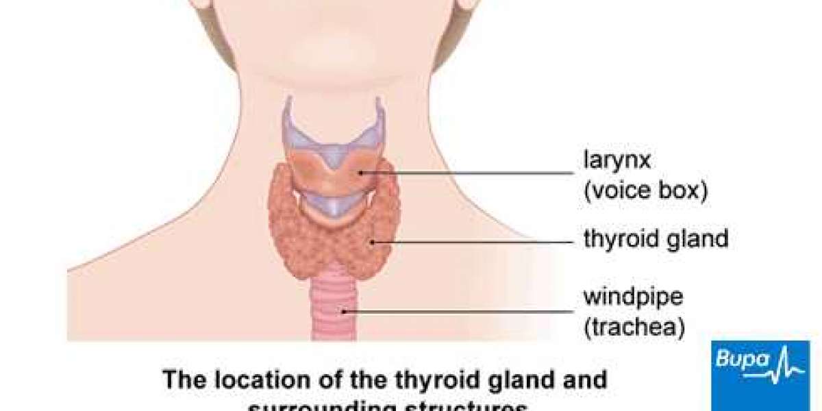 Underactive Thyroid: Symptoms, Causes, Treatment, and Prevention