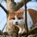 Chadd Wilderman Profile Picture