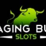 Ragingbull Casino Profile Picture