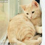 Jodie Gorczany Profile Picture