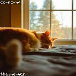 Genevieve Botsford Profile Picture