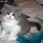 Melyna Krajcik Profile Picture