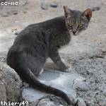 Maribel Davis Profile Picture