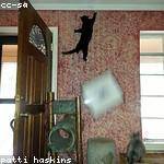 Filomena Runte Profile Picture