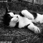 Jaeden Farrell Profile Picture