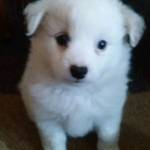 Deblacl Profile Picture