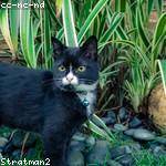 Susana Purdy Profile Picture