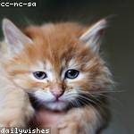 Jamey Jacobi Profile Picture