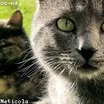 Kevin Hackett Profile Picture