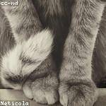 Nadia Dach Profile Picture