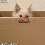 Charlie Kuhn Profile Picture