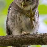 Single Profile Picture