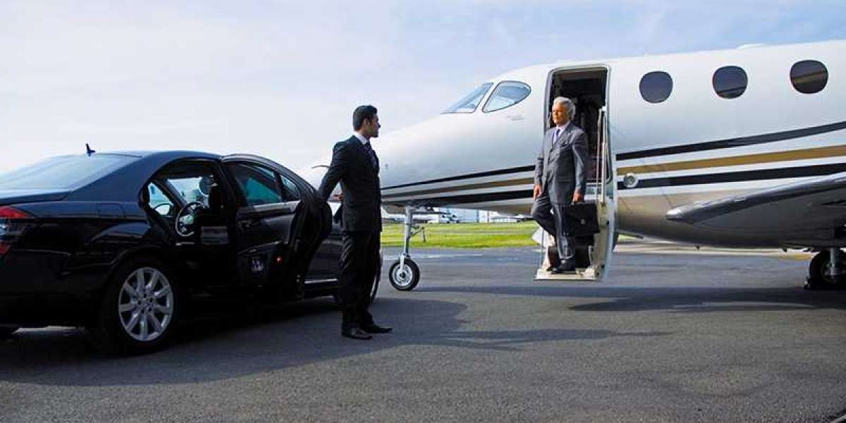 Flexible Options: Customizable Services of a Limo Service