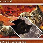 Zita Schumm Profile Picture