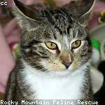 Jackie Dicki Profile Picture