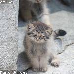 Gavin Kuhn Profile Picture