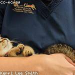 Tyrique Hermiston Profile Picture