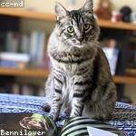 Genevieve King Profile Picture