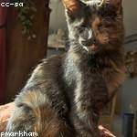 Etha Hegmann Profile Picture