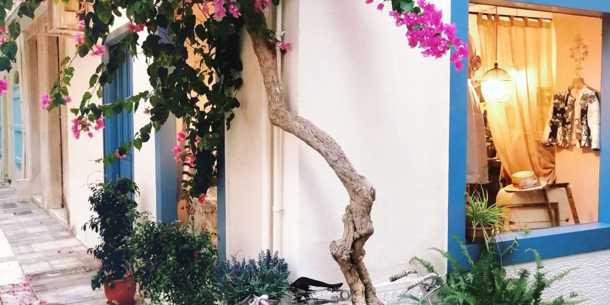 how to prune bougainvillea